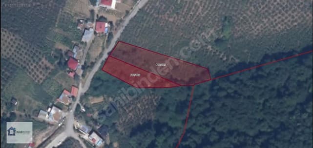 Akçaabat Uğurlu Yenimahalle'de Doğayla İç İçe Satılık Arsa — Uğurlu Yenimahalle, Akçaabat