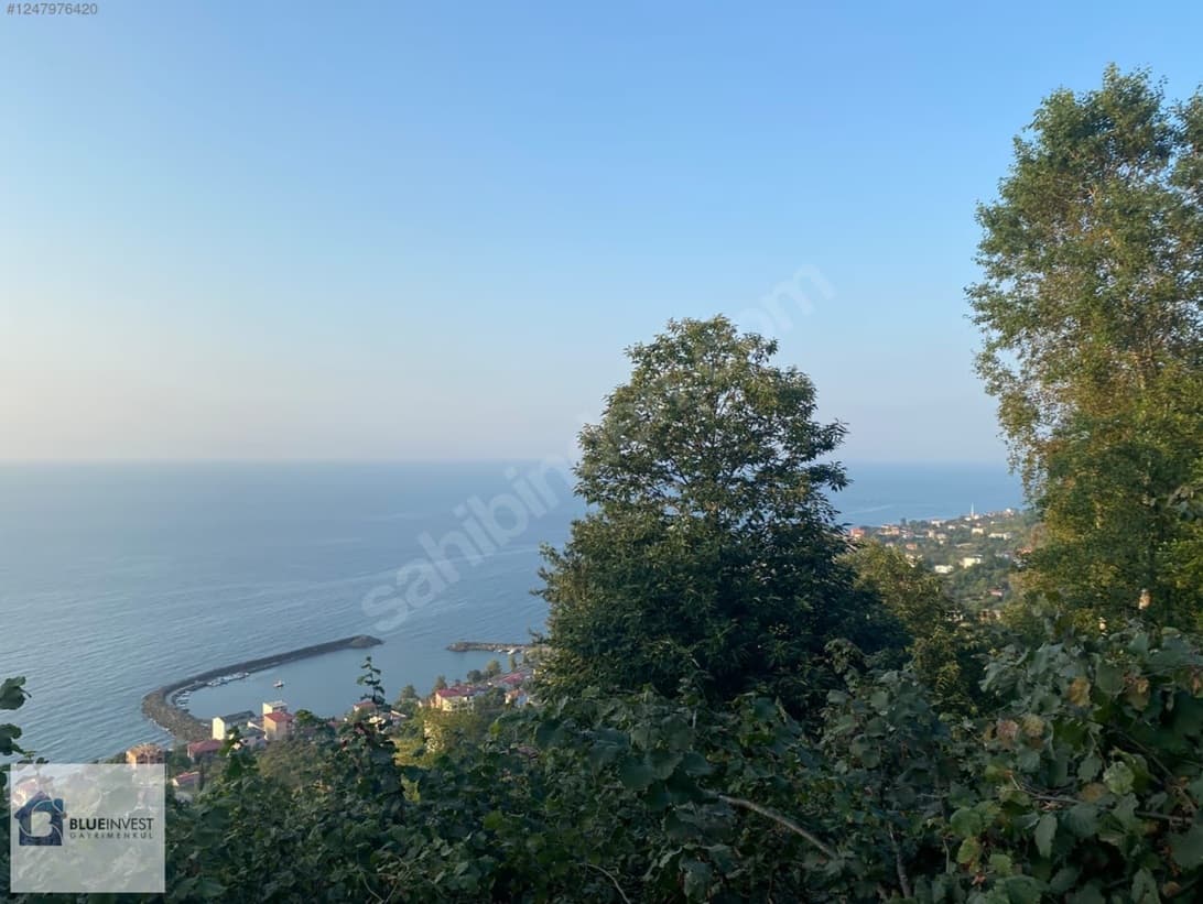 Çarşıbaşı Kerem Mahallesi'nde Deniz Manzaralı 2.507 m² Arsa — Kerem Mahallesi, Çarşıbaşı
